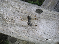 s_PICT0031s.png